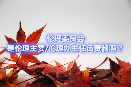 倫理委員會是倫理主委/倫理辦主任負責制嗎？(圖1)