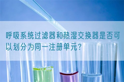 呼吸系統過濾器和熱濕交換器是否可以劃分為同一注冊單元？(圖1)