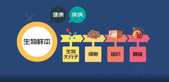 淺談CRC生物樣本管理！生物樣本采集、處理、存儲、運輸全過程注意事項