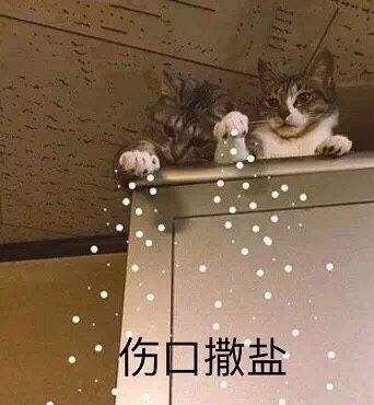 抗腫瘤藥物試驗中是否需要收集死亡證明？(圖2)